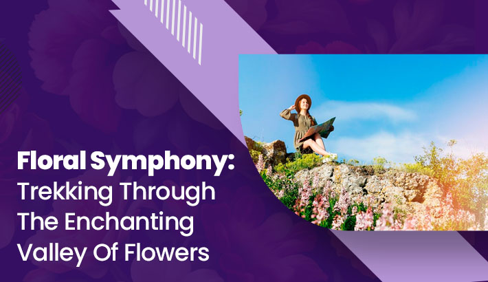 Floral Symphony: Trekking Through The Enchanting Valley Of Flowers