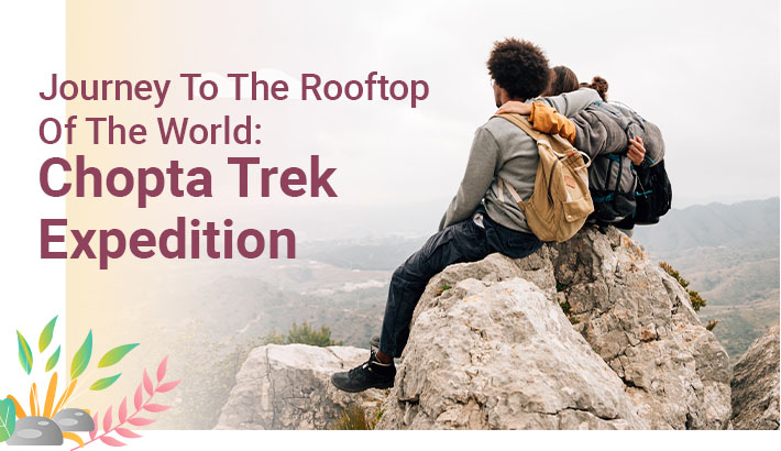 Journey To The Rooftop Of The World: Chopta Trek Expedition